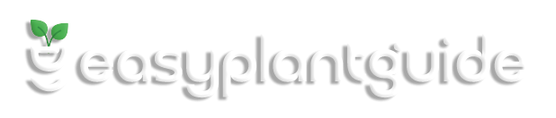 Easy Plant Guide
