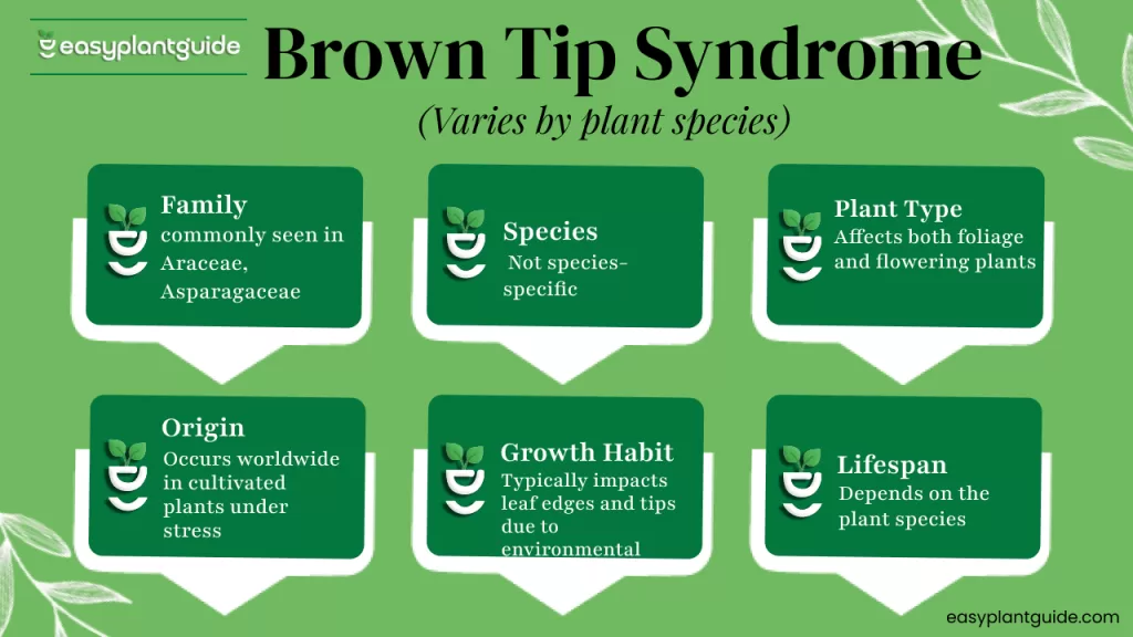 water quality affecting plants